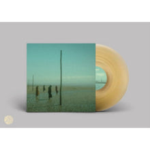 In All Her Forms (Gold & Clear Marbled Vinyl/2LP)
