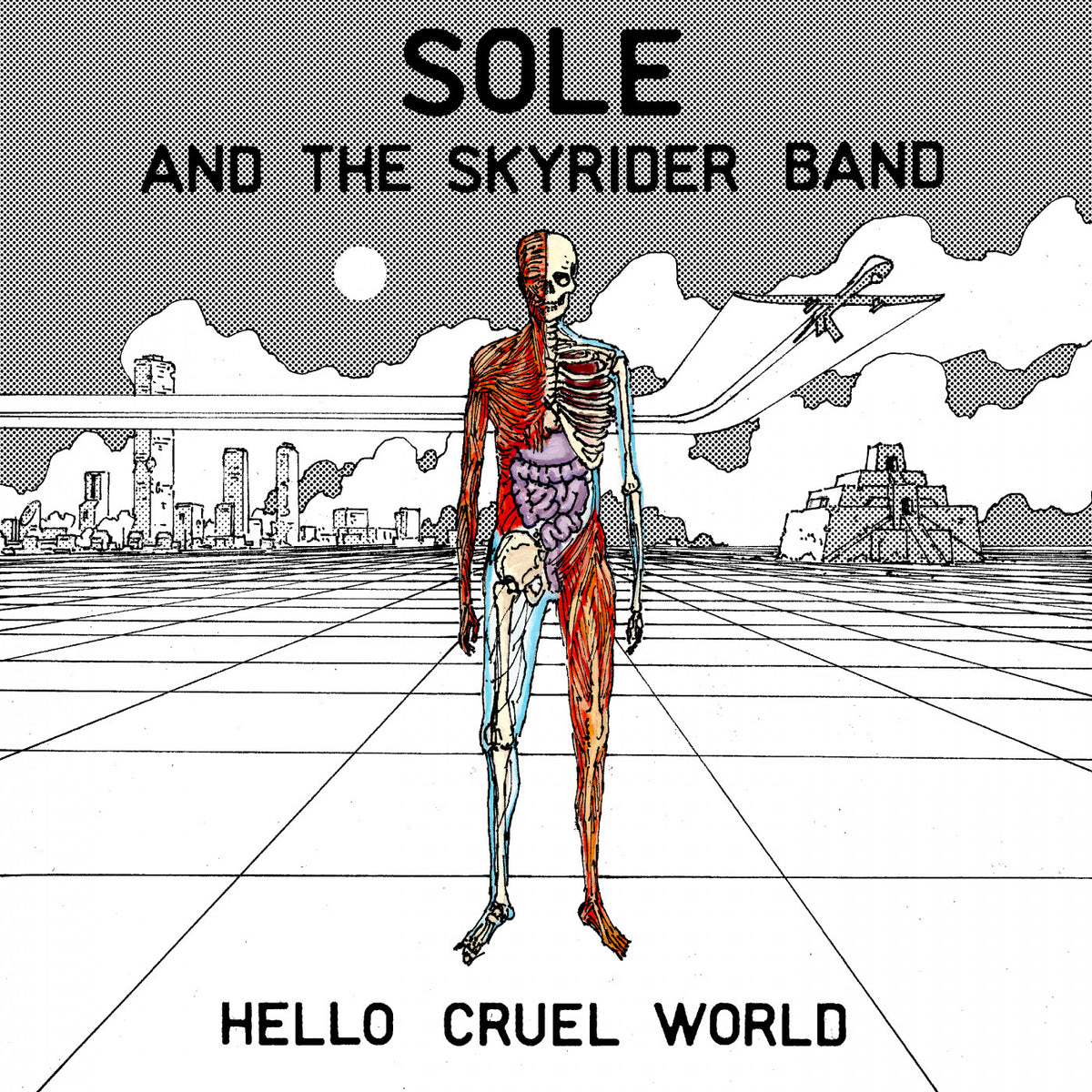 Hello Cruel World [CD]