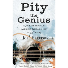 Pity the Genius: A Journey through American Guitar Music in 33 Tracks