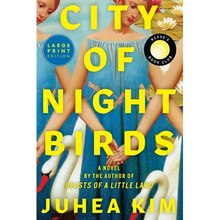 City of Night Birds