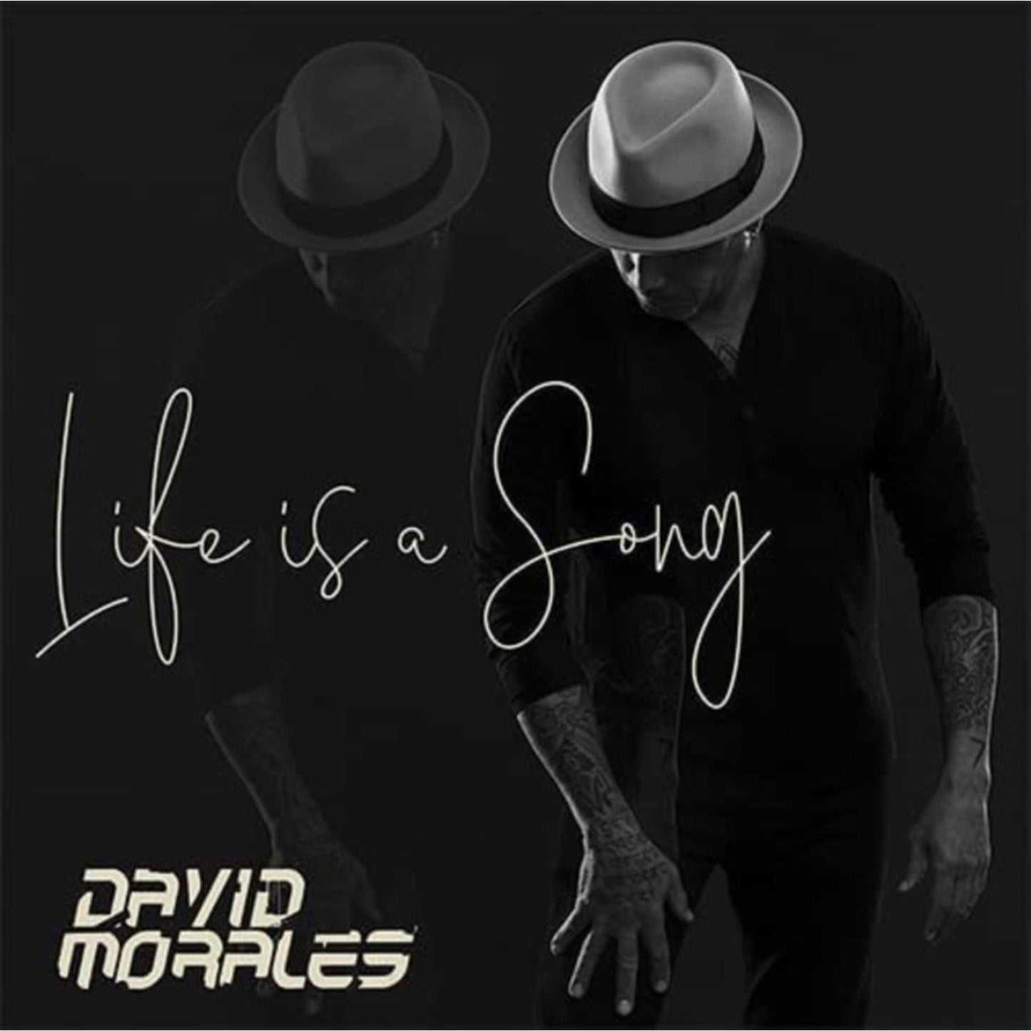 Life Is A Song (2LP)