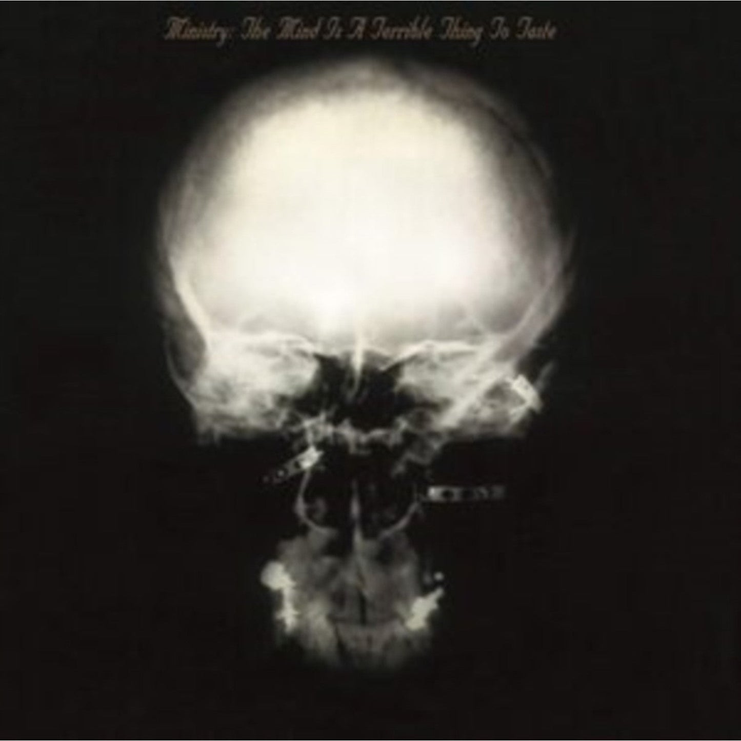 Mind Is A Terrible Thing To Taste (180G)
