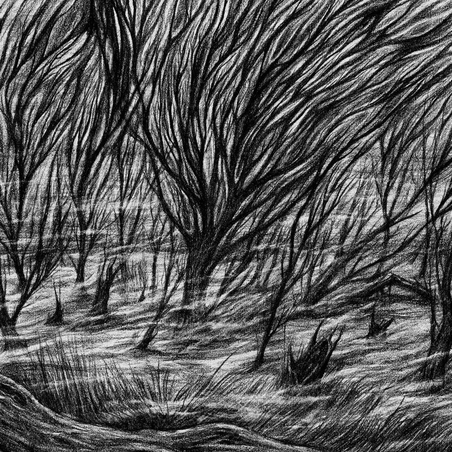 Eternal Marshes