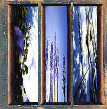 Fernando - Dreams Of The Sun and Sky [CD]