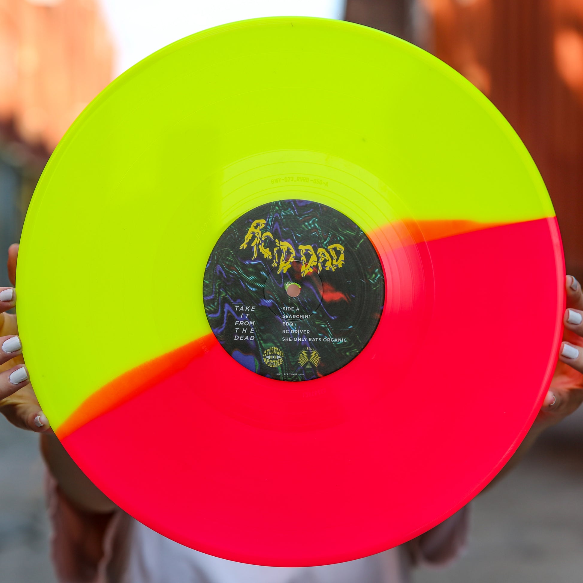 Take It From The Dead (Indie Exclusive) [Vinyl] - Paladin Vinyl