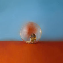 In The Meantime [2 LP] [Vinyl] - Paladin Vinyl