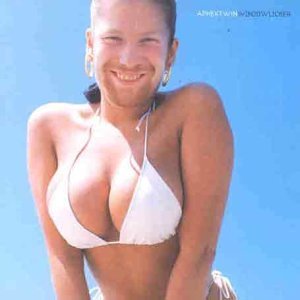 Aphex Twin - WINDOWLICKER [Vinilo]