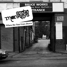 When The Sun Goes Down (7" Single) [Vinyl]