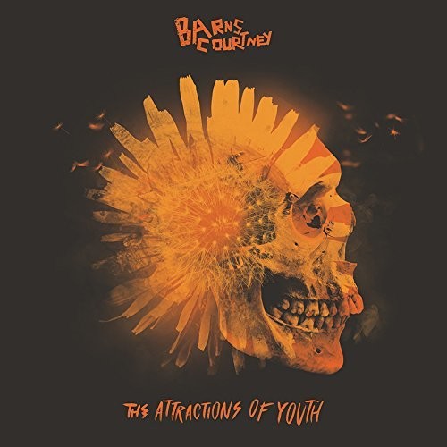 The Attractions Of Youth (Picture Disc Vinyl) [Vinyl] - Paladin Vinyl