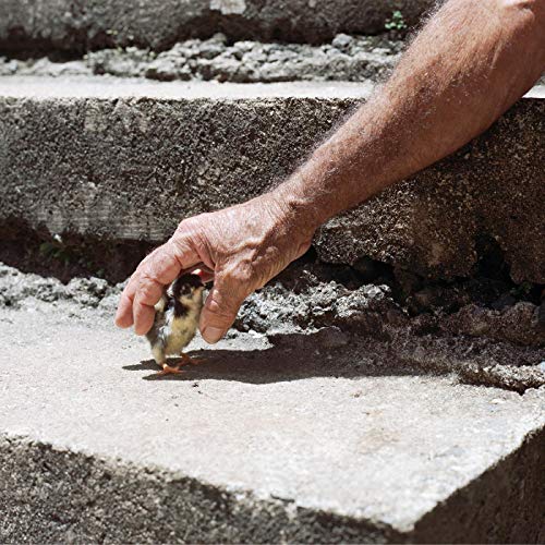 Mythological Beauty ("CONCRETE" GRAY VINYL) [Vinyl] - Paladin Vinyl