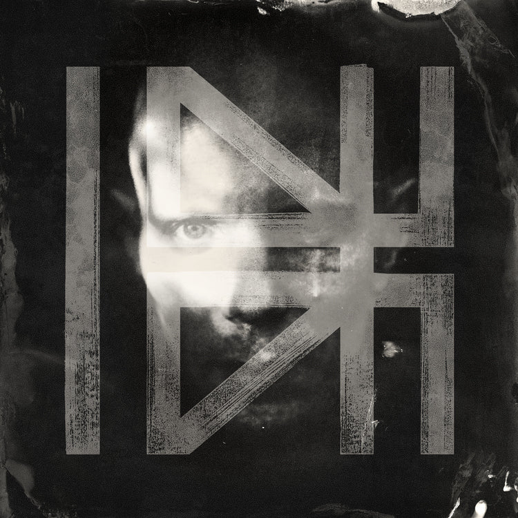 Billy Howerdel-什么是正常 [黑胶唱片]