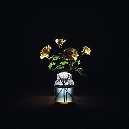 Billy Strings - Renewal [2 LP] [Vinyl]