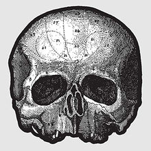 Black Pearl 10” (Die Cut Skull Pic Disc) [Vinyl]