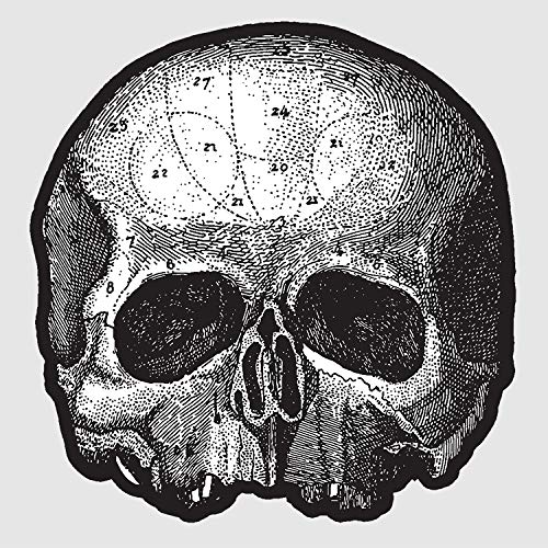 Black Pearl 10” (Die Cut Skull Pic Disc) [Vinyl]