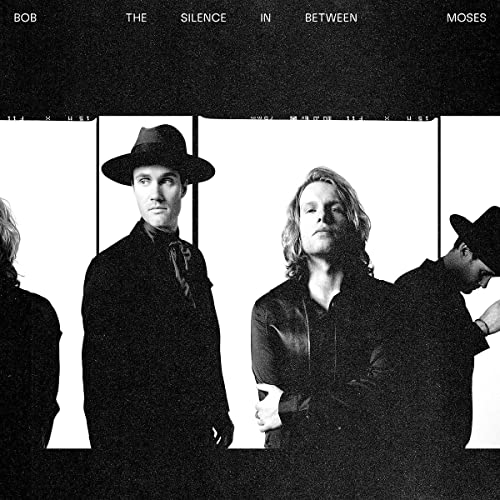 The Silence In Between [LP] [Vinyl] - Paladin Vinyl