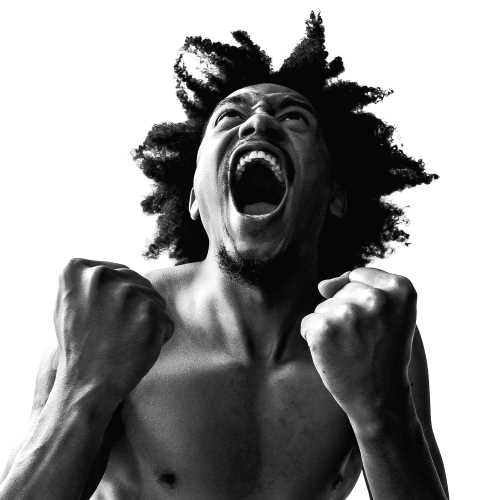 Manifest [LP] [Vinyl] - Paladin Vinyl