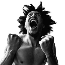 Manifest [LP] [Vinyl] - Paladin Vinyl
