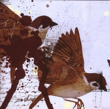 This Is What the Edge of Your Seat Was Made for [Import] [Vinyl]