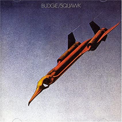 Squawk [Import] [Vinyl] - Paladin Vinyl
