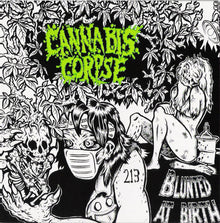 Blunted At Birth (Limited Edition, Picture Disc) Vinyl LP) [Vinyl] - Paladin Vinyl