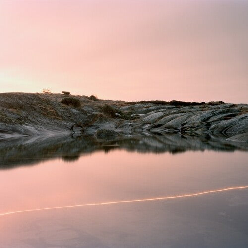 Cassandra Jenkins-（概述）现象自然概述 [黑胶唱片]