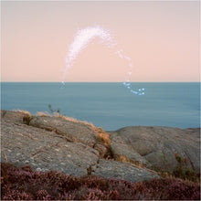 An Overview on Phenomenal Nature [Vinyl] - Paladin Vinyl