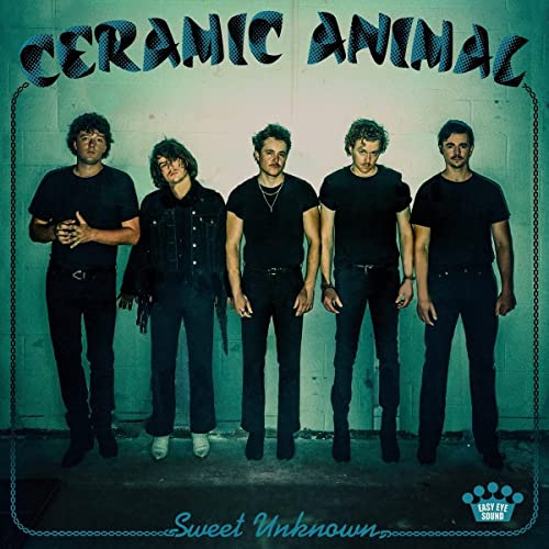 Sweet Unknown [Blue Smoke Translucent LP] [Vinyl] - Paladin Vinyl