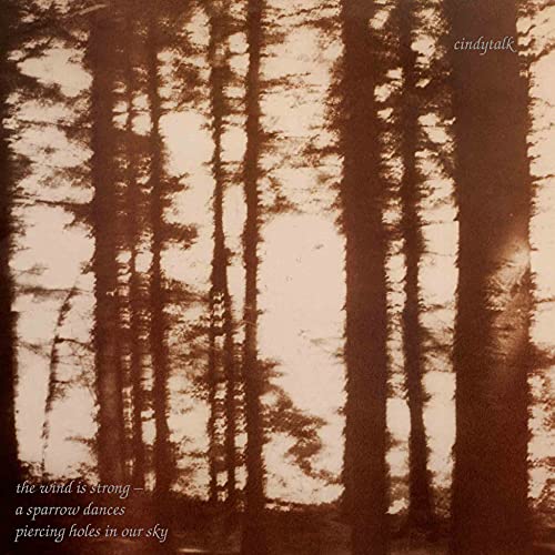 Wind Is Strong [Vinyl] - Paladin Vinyl