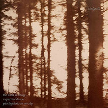 Wind Is Strong [Vinyl] - Paladin Vinyl