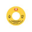 DJ SPINNA & KAI ALCE PRESENT: "FOUNDATIONS" - CLASSIC HOUSE 45 SERIES PART 5: [Vinyl] - Paladin Vinyl