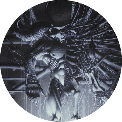 Danzig - Danzig 5: Blackacidevil (Picture Disc Vinyl) [Vinyl] - Paladin Vinyl