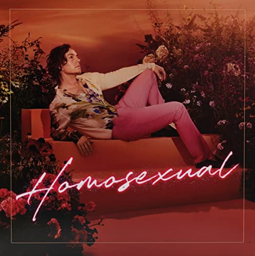 Darren Hayes - Homosexual [CD]