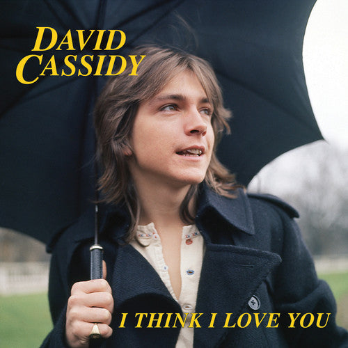 David Cassidy - I Think I Love You (Limited Edition, Blue, Pink) (7" Single) [Vinyl] - Paladin Vinyl