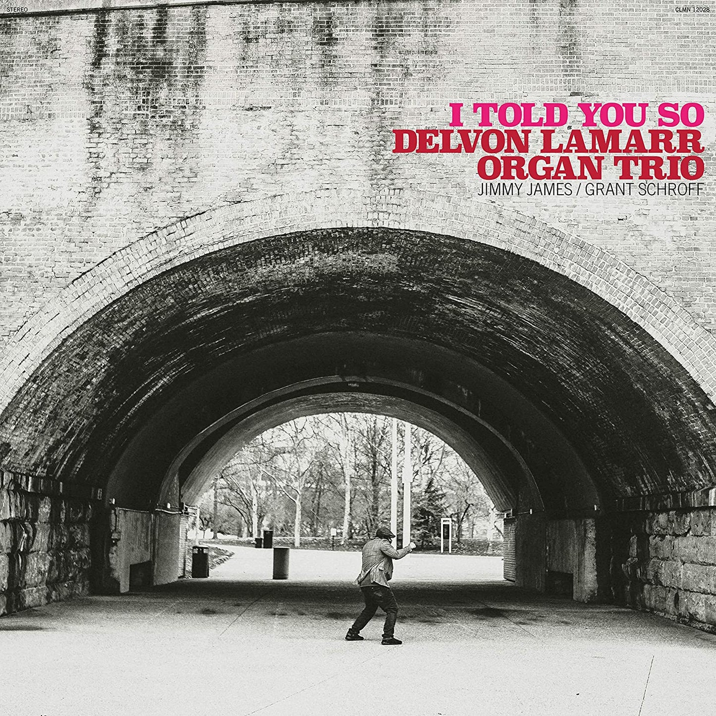I Told You So (Black Vinyl) [Vinyl] - Paladin Vinyl
