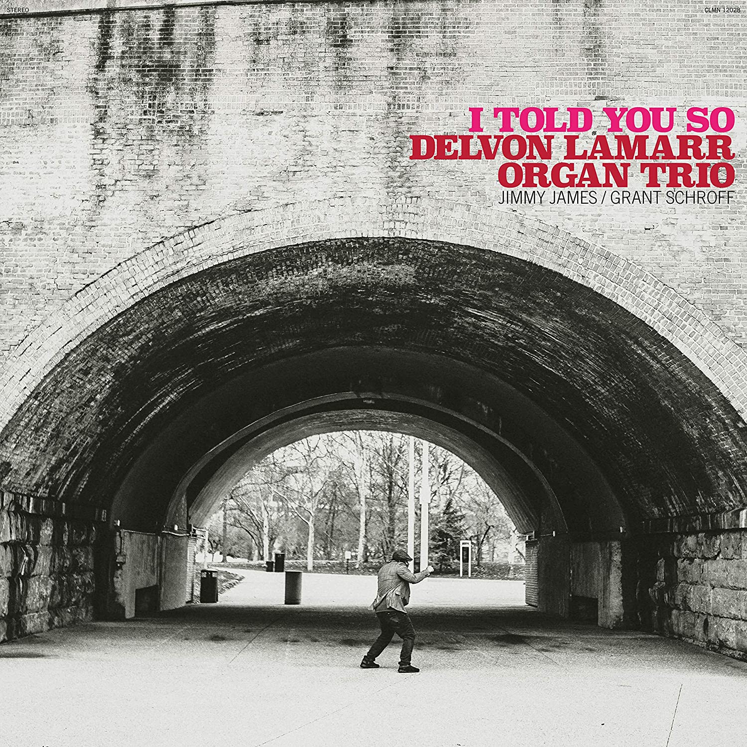 I Told You So (Black Vinyl) [Vinyl] - Paladin Vinyl
