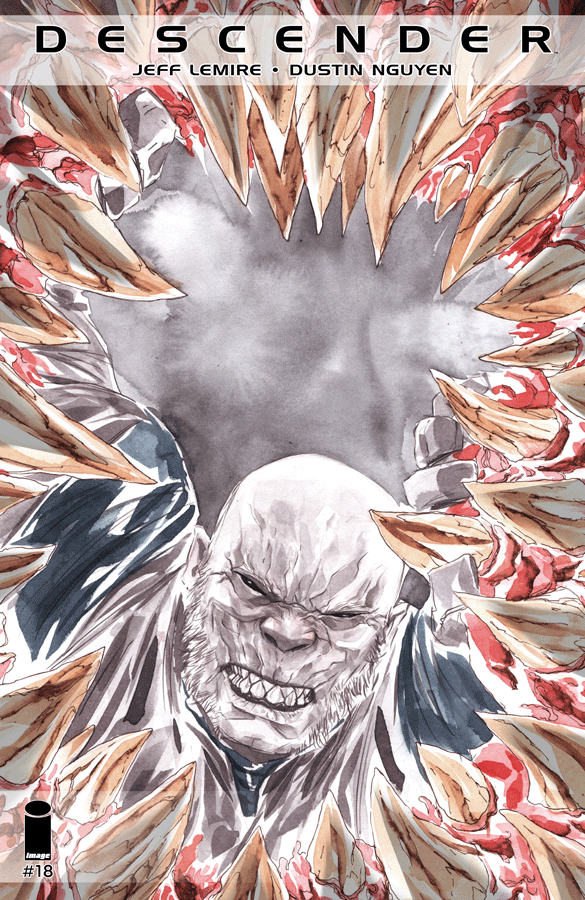 Descender 18 Image 2015