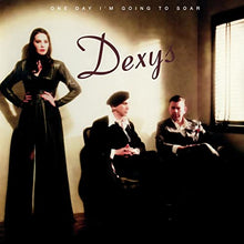 One Day I’m Going to Soar [Vinyl]