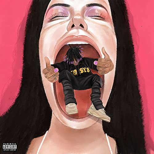 F*CK YOUR FEELINGS [Pink LP] [Vinyl] - Paladin Vinyl