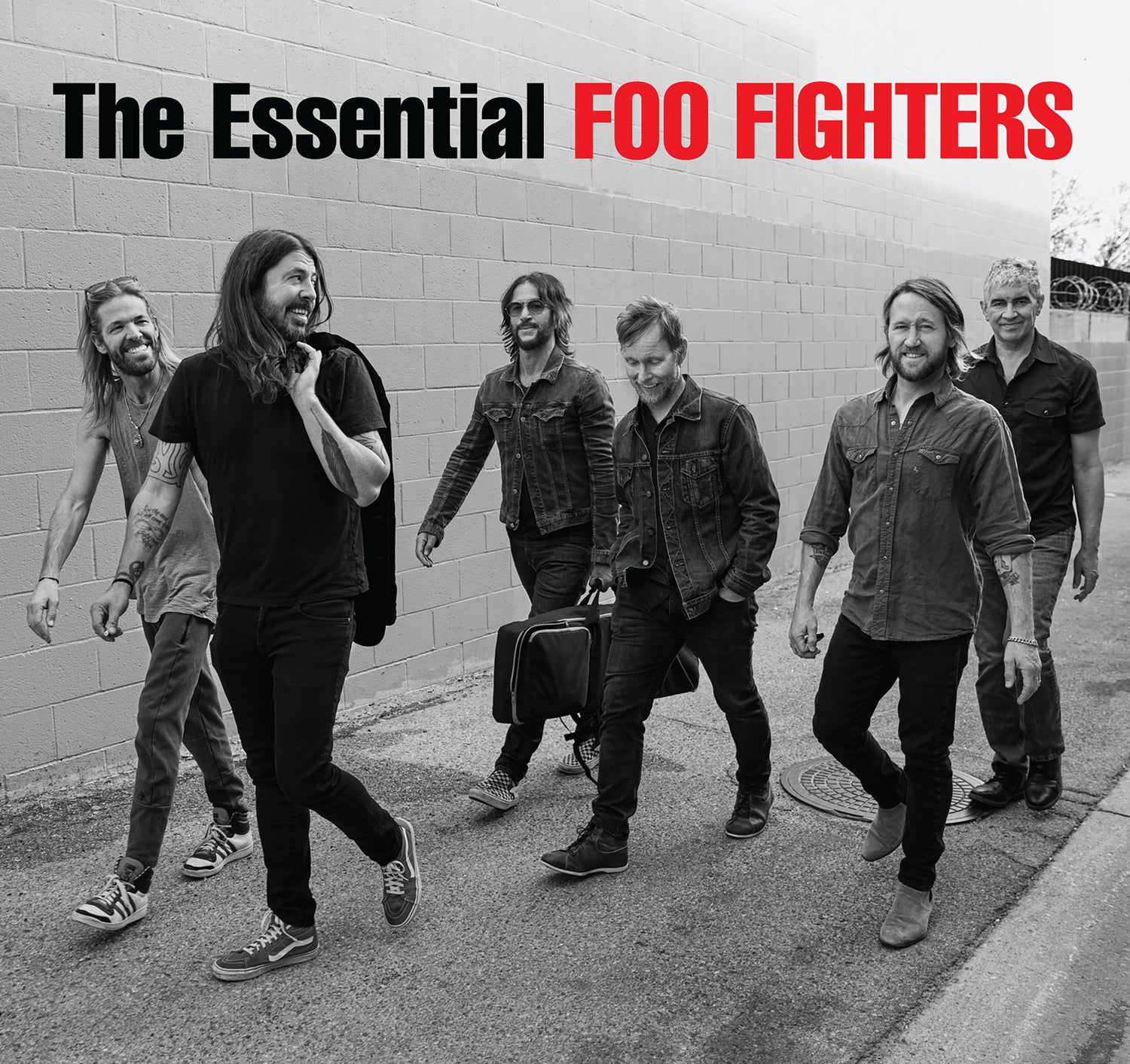 Foo Fighters - The Essential Foo Fighters [Vinyl]