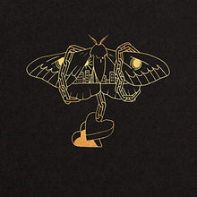 GOLD IN A BRASS AGE [Vinyl] - Paladin Vinyl