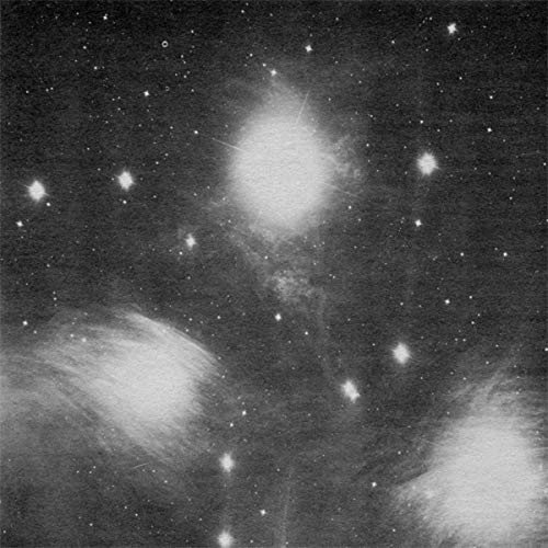 GROUPER - AIA: Alien Observer [Vinyl] - Paladin Vinyl