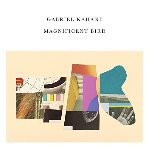 Magnificent Bird [CD]