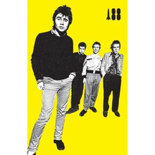 I Was a Teenage Sex Pistol