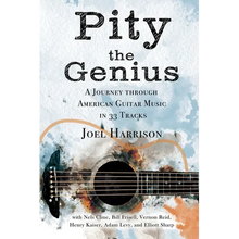 Pity the Genius: A Journey through American Guitar Music in 33 Tracks