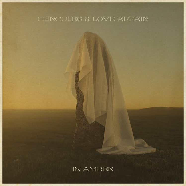 In Amber [Vinyl] - Paladin Vinyl