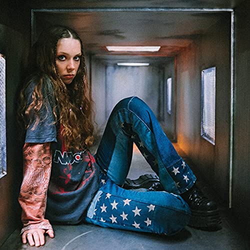 The Walls Are Way Too Thin [LP] [Vinyl] - Paladin Vinyl