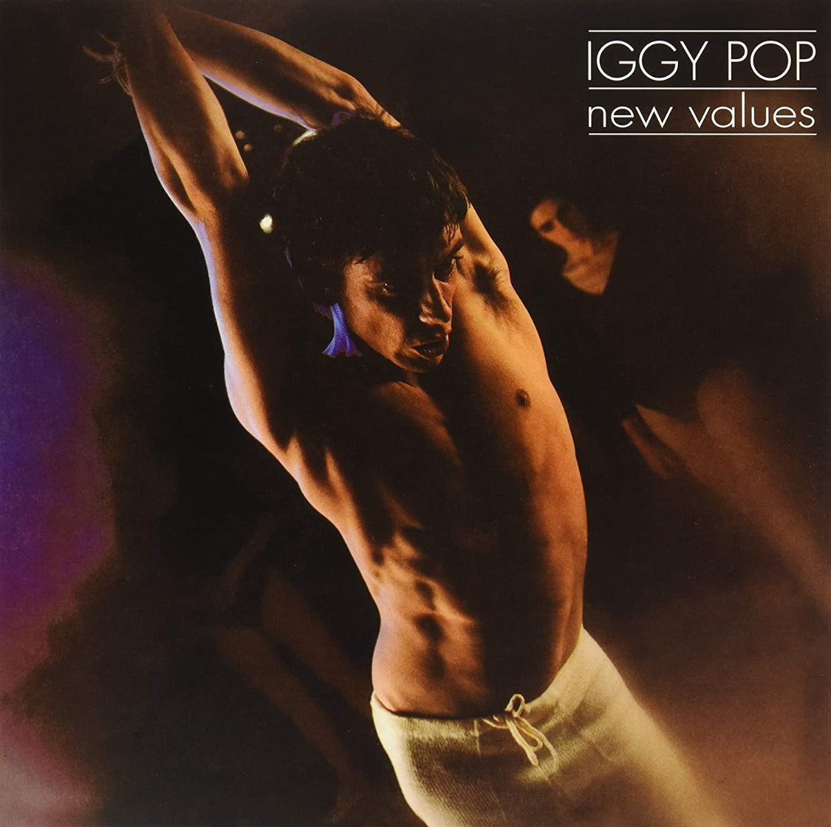 NEW VALUES [Vinyl]