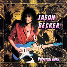Perpetual Burn (Black Vinyl) [Vinyl] - Paladin Vinyl