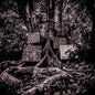 Harmony of Difference [EP] * [Vinyl] - Paladin Vinyl