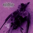 Brave Murder Day [Vinyl] - Paladin Vinyl
